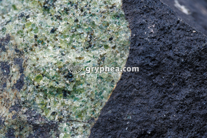 Nodule de péridotite dans du basalte - gryphea.com